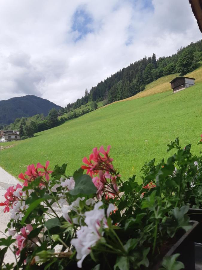 Ferienwohnung Schatzhof Jochberg Kültér fotó