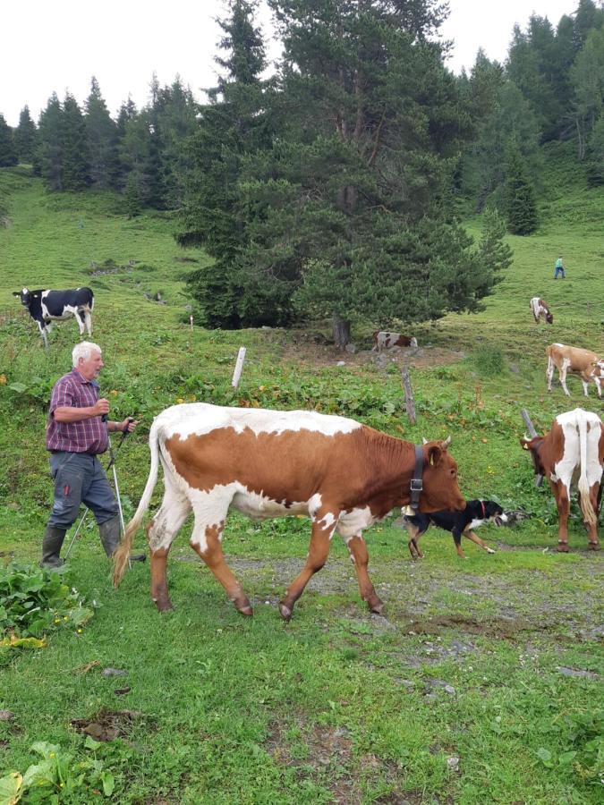 Ferienwohnung Schatzhof Jochberg Kültér fotó